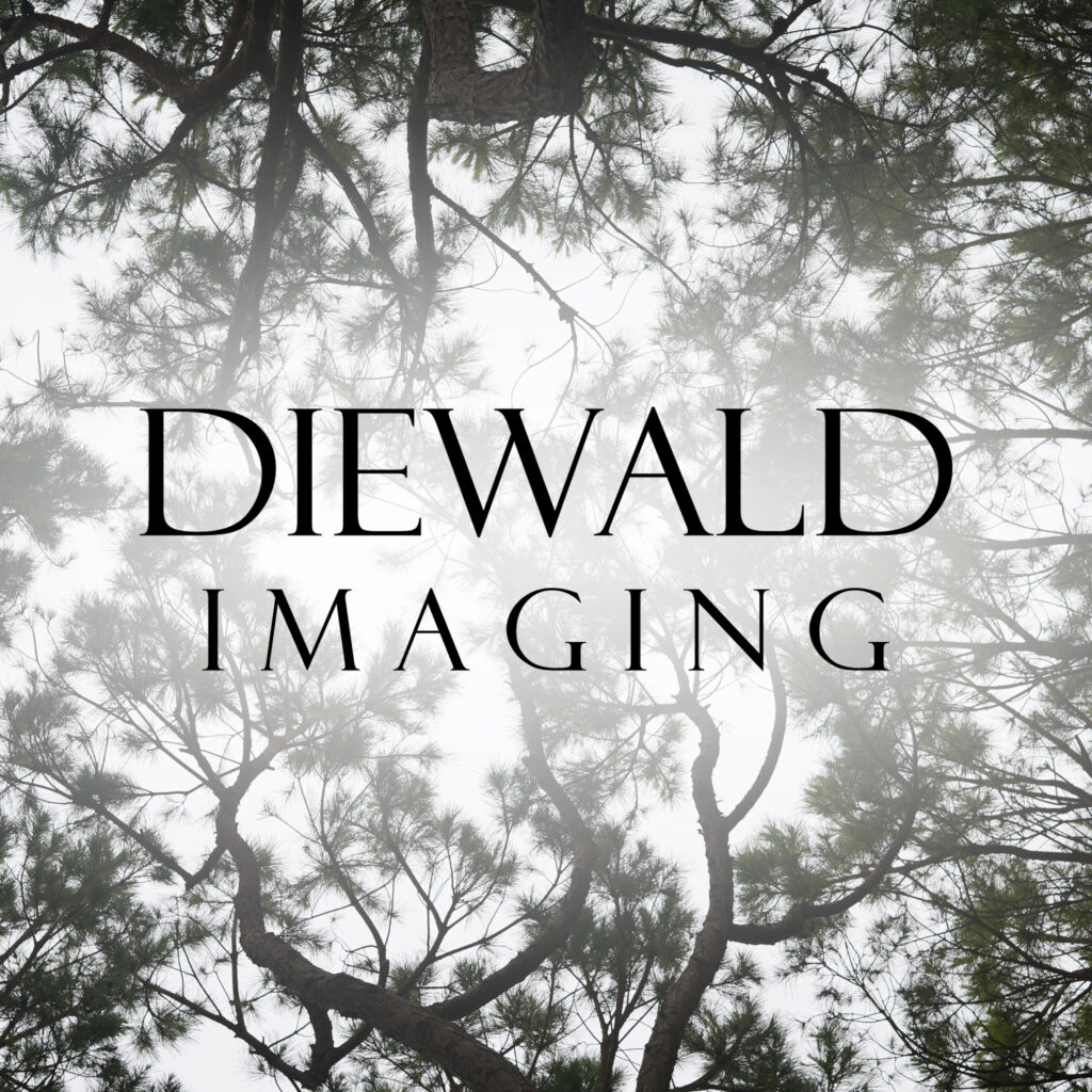 Diewald Imaging